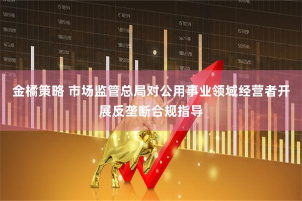 金橘策略 市场监管总局对公用事业领域经营者开展反垄断合规指导