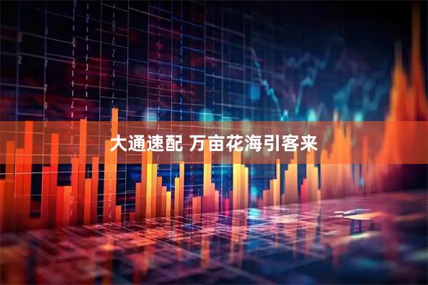 大通速配 万亩花海引客来