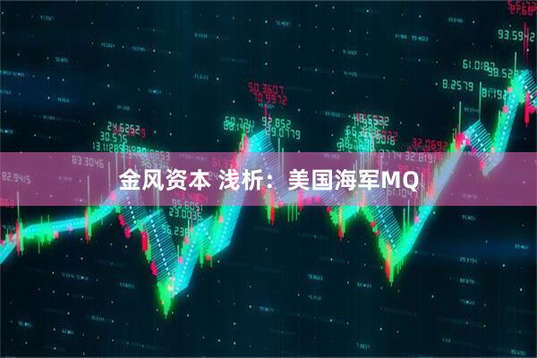 金风资本 浅析：美国海军MQ